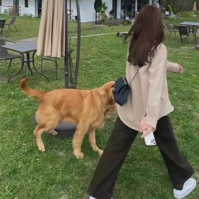 败家仔
